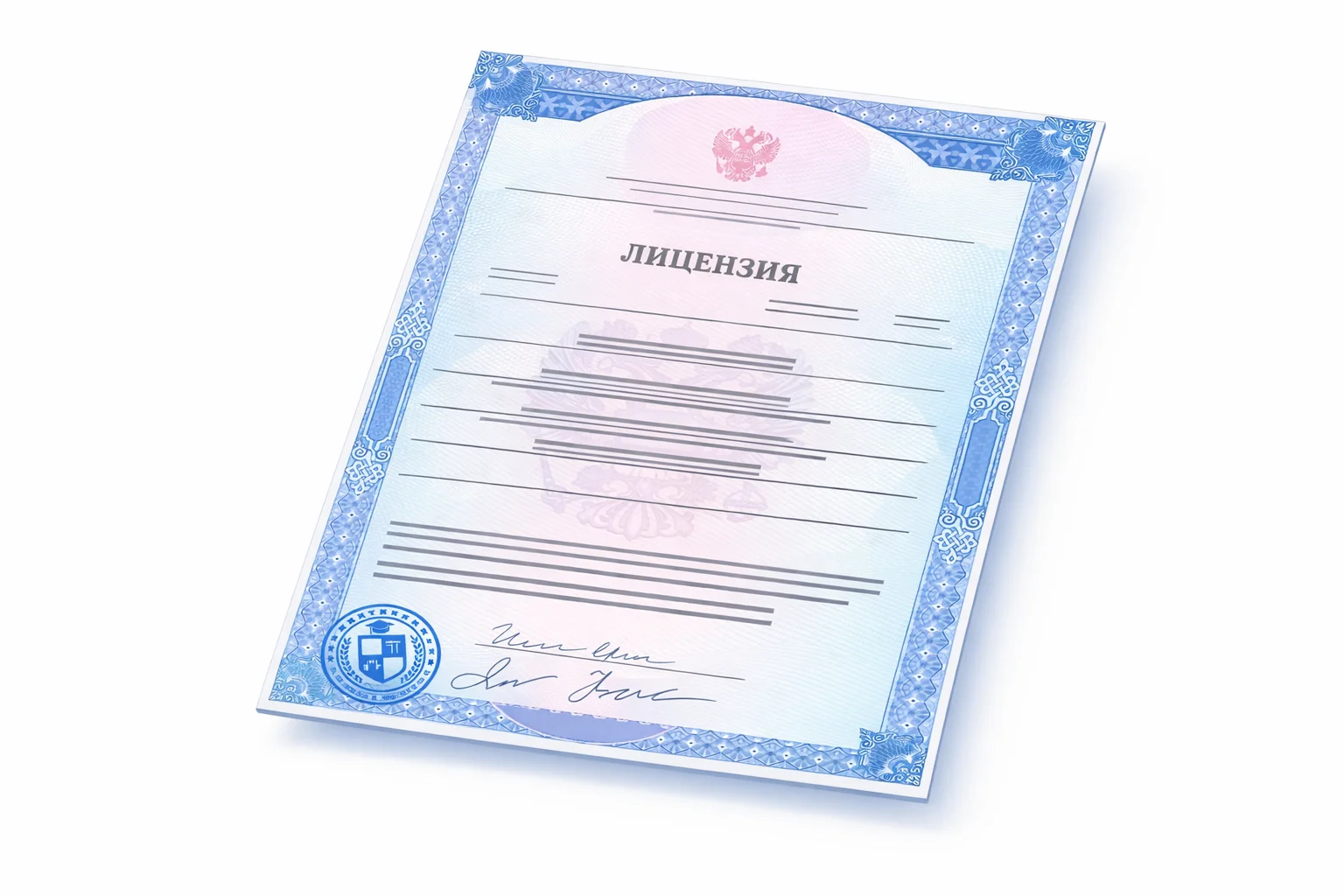 образец лицензии